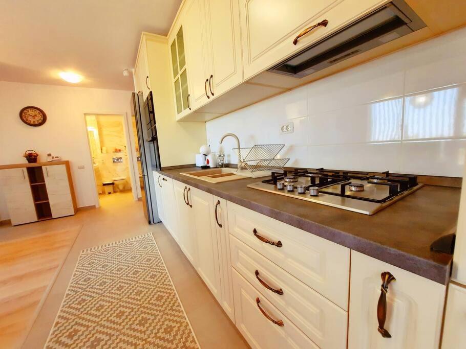 טימישוארה Beautiful Panoramic Central Apartment - City Of Mara מראה חיצוני תמונה